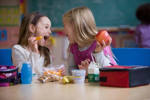 Best Insulated Lunch Bag