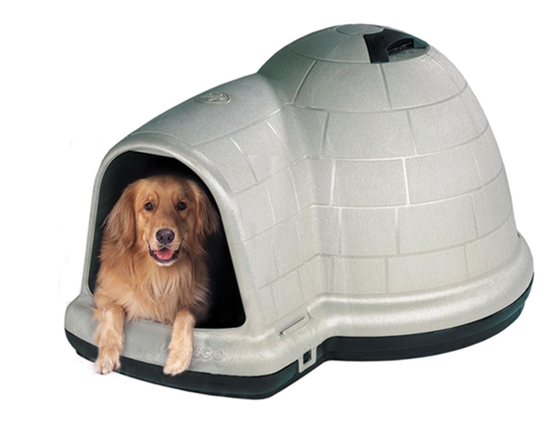 The Best Dog House Kits