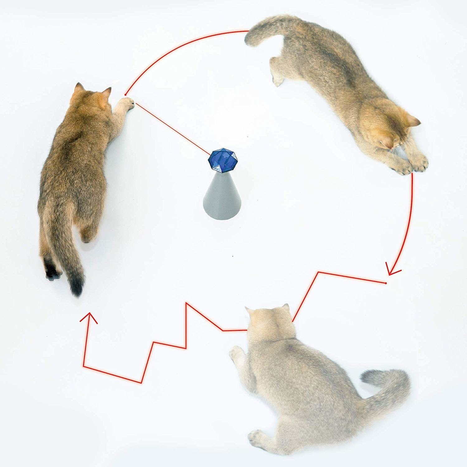 6 Best Interactive Cat Toys