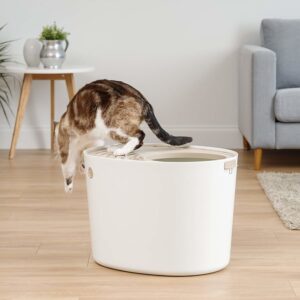 5 Best Litter Boxes