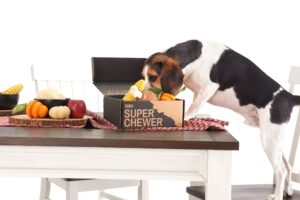 Give Thanks To Your Dogs With This Thanksgiving Feast