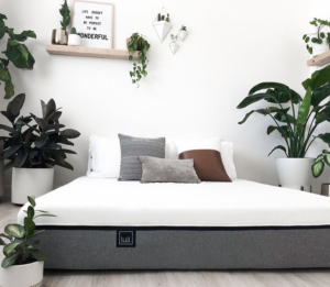 Looking For a New Mattress? Read This First