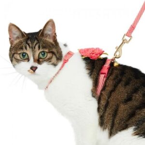 The Best Cat Harnesses for Your Cat (Who Hates You)