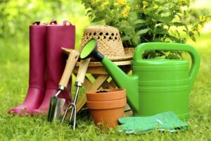 The 6 Best Gardening Supplies to Order Online