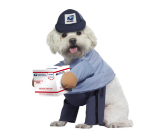 Support the Post Office: 11 of the USPS's Best Gifts