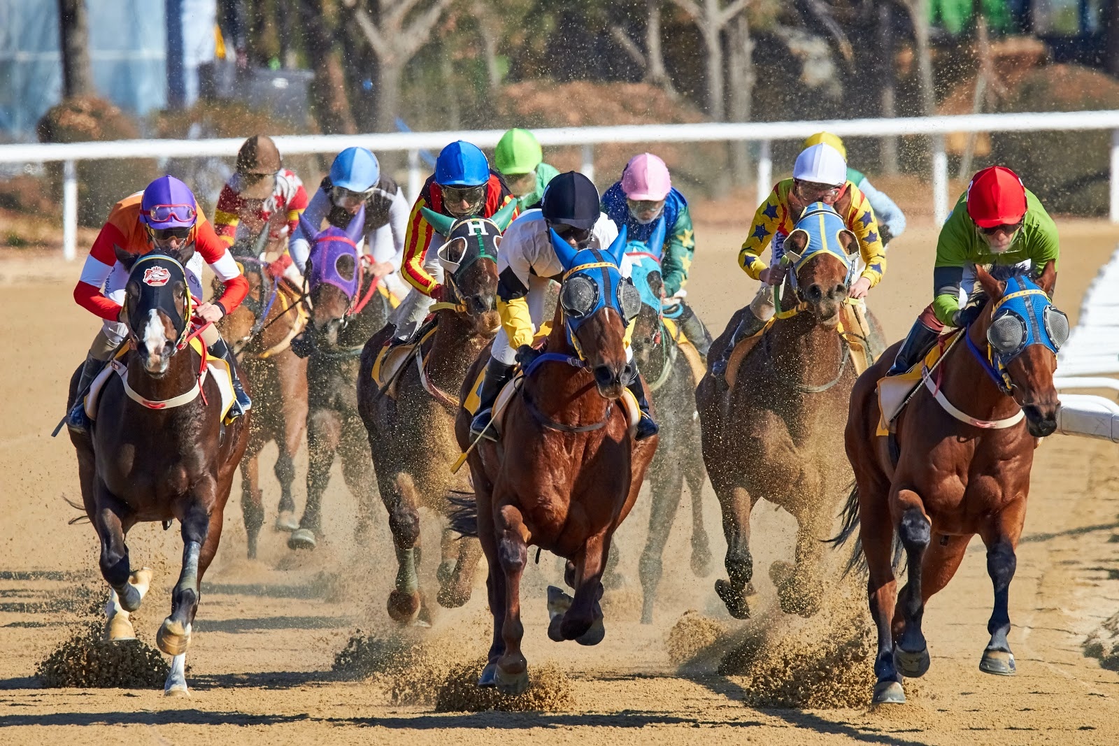 TVG Is Bringing The Excitement Of Derby Day To You