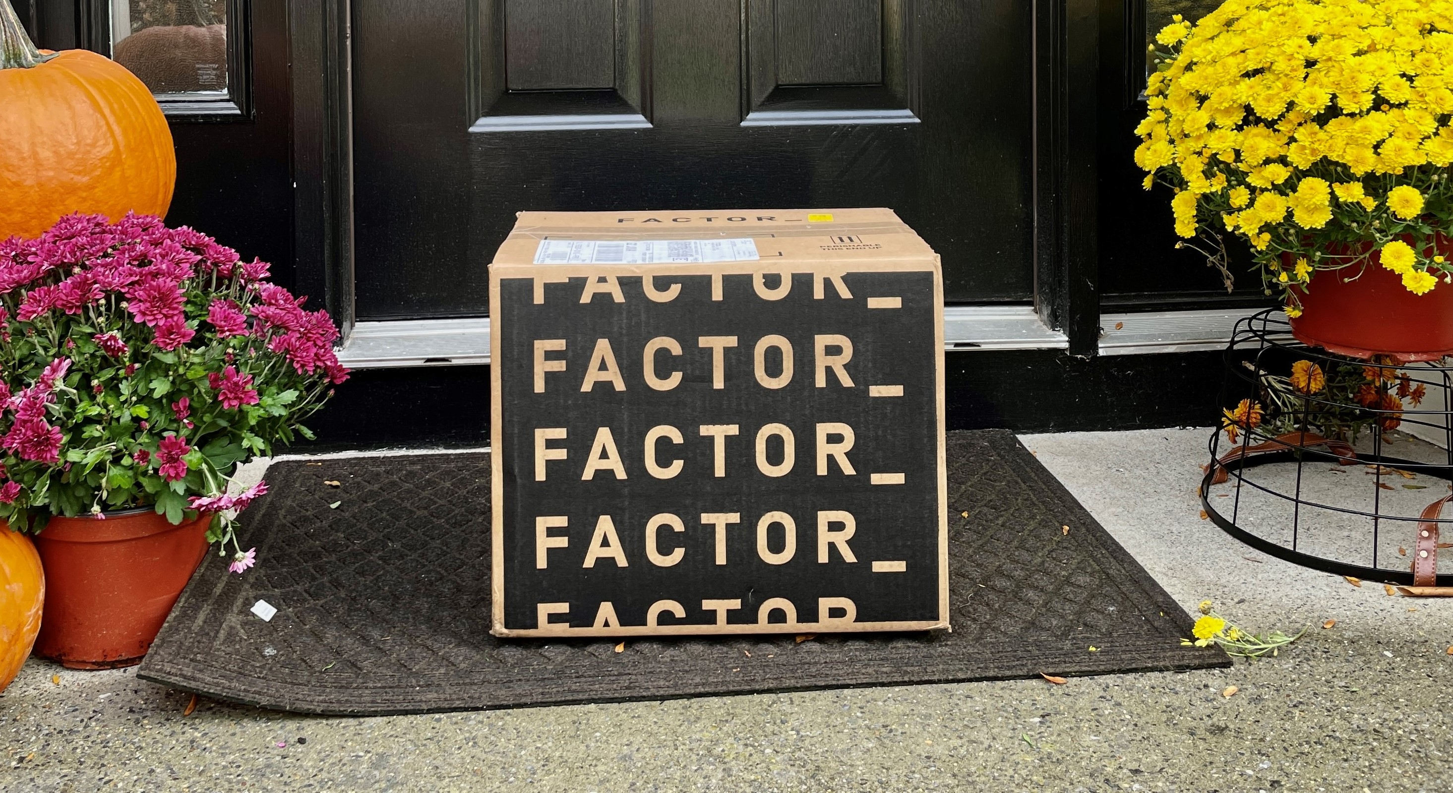 Factor Vs. Freshly. Which Subscription Are We Keeping?