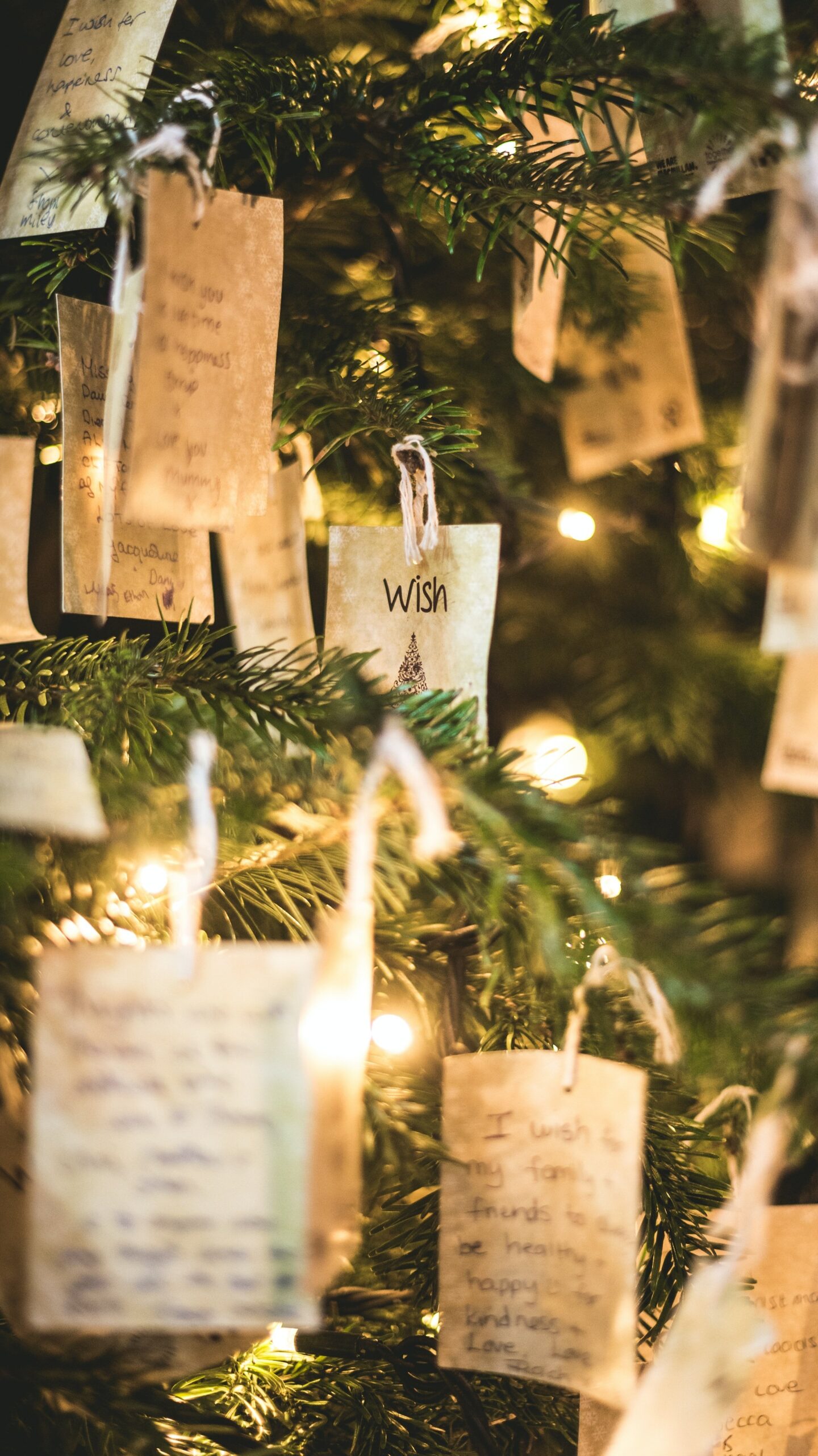 Deck the Halls… Sustainably