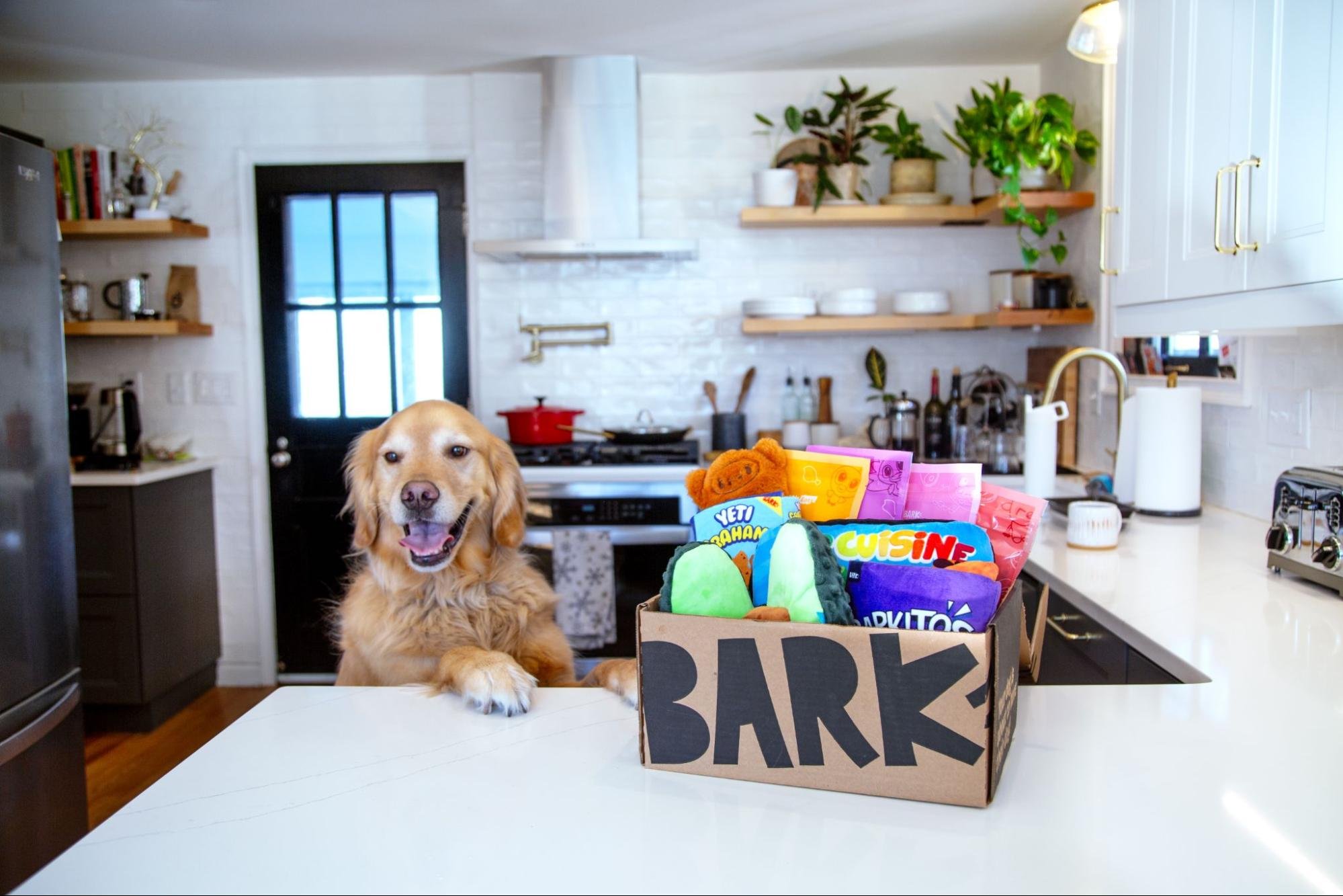 Here’s Why BarkBox Is The Must-Have Subscription For Dog Parents