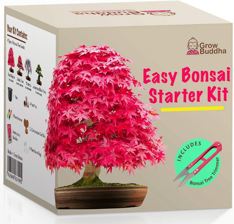 bonsai kit