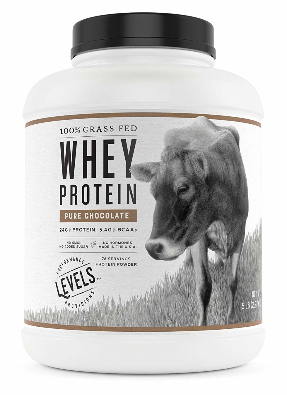 levels chocolate whey