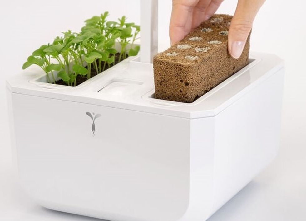 smart garden