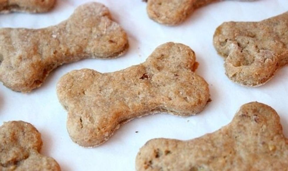 Triumph dog treat.