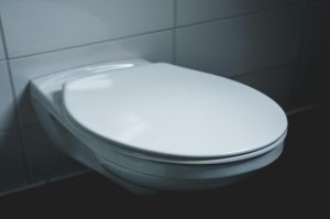 Toilet Seat 